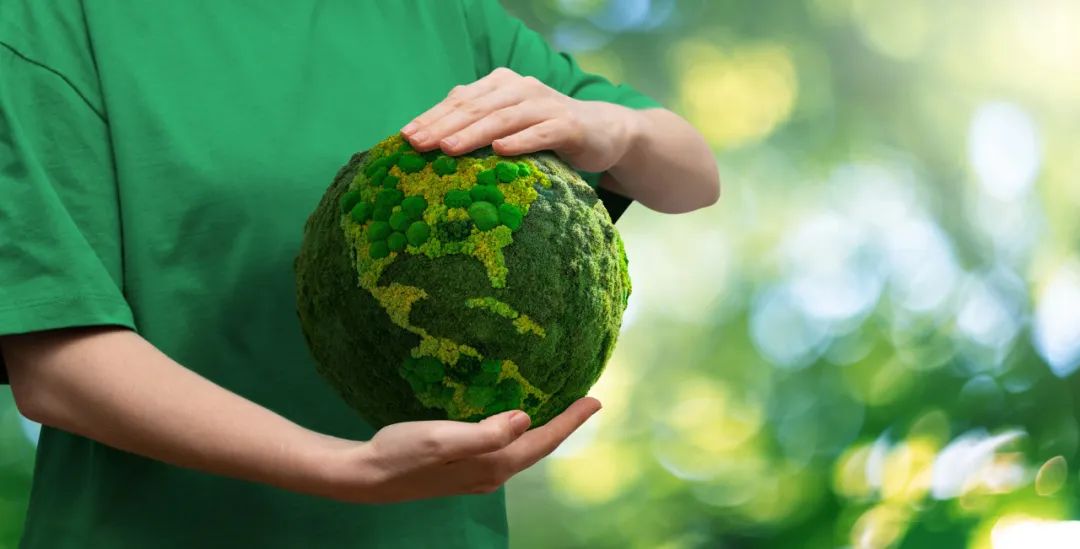 k1���� - ʮ��Ʒ�� ֵ������